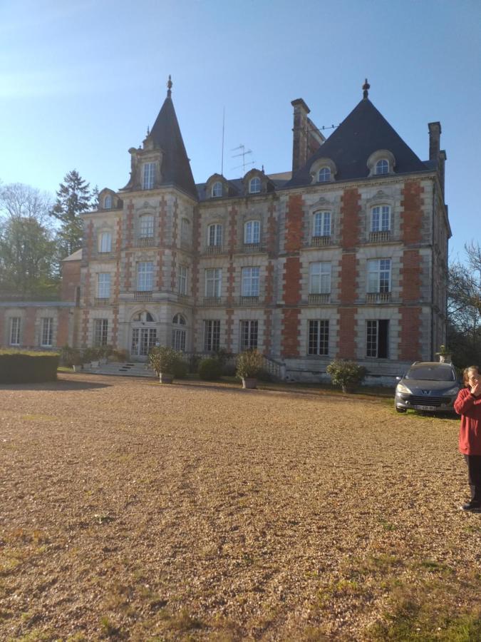 Chateau De Rocheux Bed & Breakfast Freteval Exterior photo